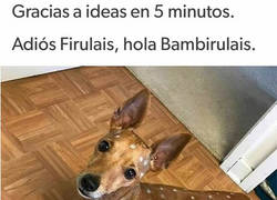 Enlace a ¡Gracias Ideas en 5 Minutos! 