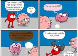 Enlace a Una ayuda que te cagas