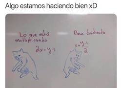 Enlace a De algo tendría que servir ver tantos memes al día