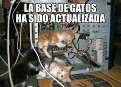 Enlace a Sabes que lo has leído con el ritmillo del Avast