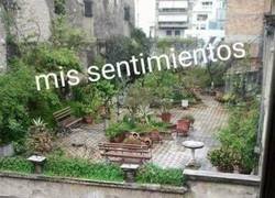 Enlace a Billete directo a la friendzone