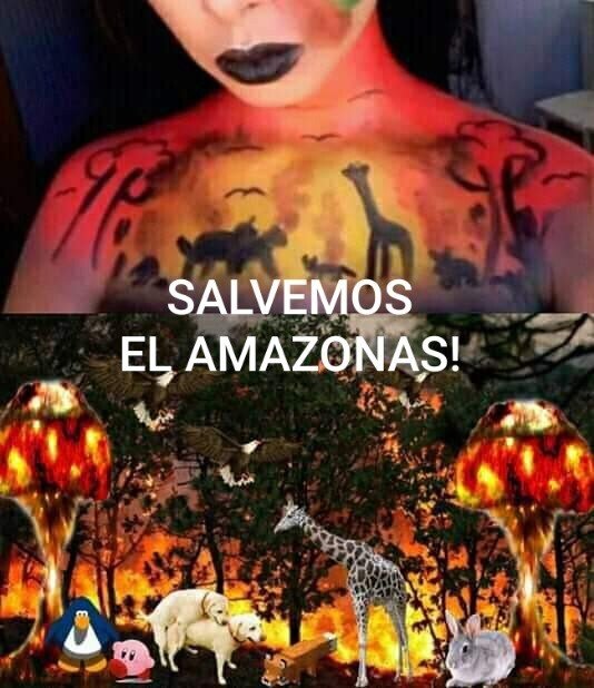 Meme_otros - Je suis Amazonas