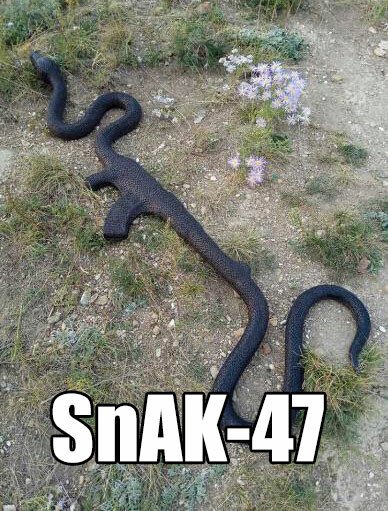 Meme_otros - SnAK-47
