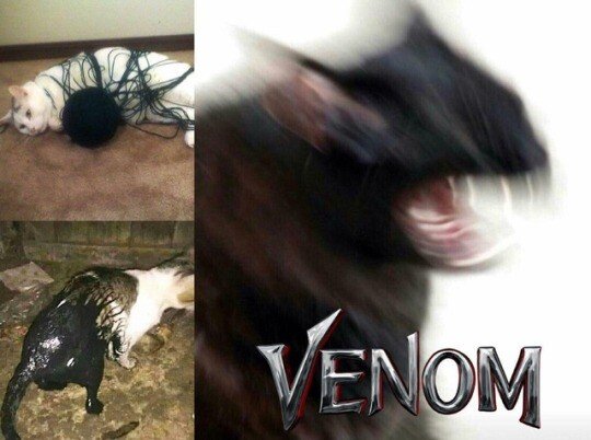 Meme_otros - Venom