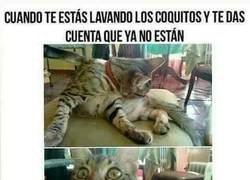 Enlace a Adios coquitos