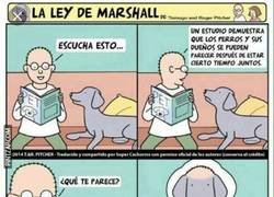 Enlace a De golpe le tiene más miedo que al veterinario