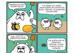 Enlace a Quita, déjame a mi