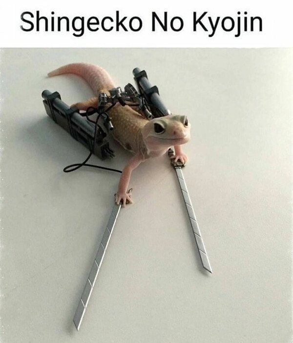 Meme_otros - Shingecko no kyojin