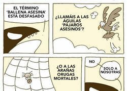 Enlace a Ballenas asesinas