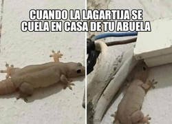 Enlace a Mi abuela está pensando en restaurar los dinosaurios