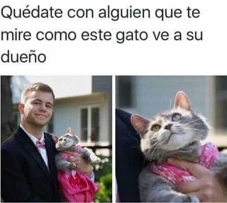 Meme_otros - A mi no me mira así ni mi madre
