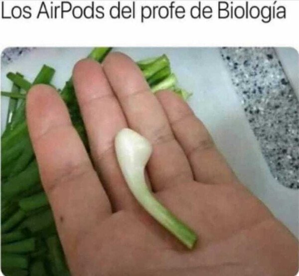 Meme_otros - VegPods