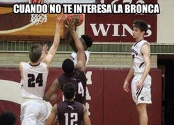 Enlace a A mi solo me gusta tocar los huevos