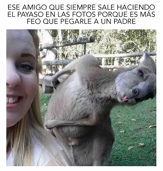 Meme_otros - En todos los grupos hay al menos uno así