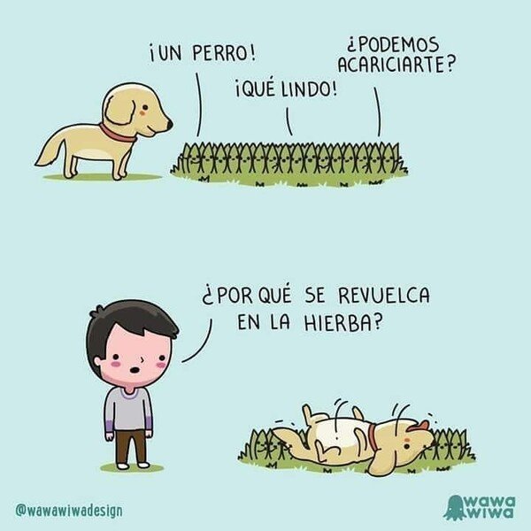 Otros - No pueden decir que no