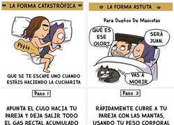 Enlace a Guía para cuescarse en pareja