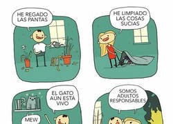 Enlace a Adultos responsables