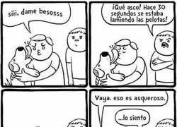 Enlace a Lamerse las pelotas