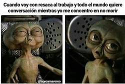 Enlace a Malditos festivos entre semana