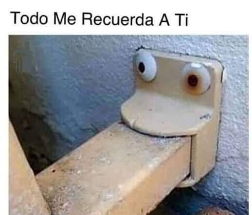 Meme_otros - Hasta la mirada
