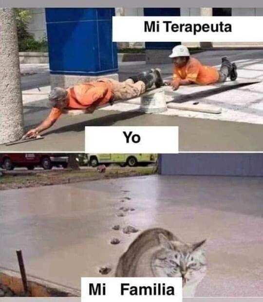 Meme_otros - Una de cal y otra de arena