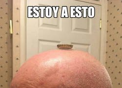 Enlace a A ESTO ESTOY