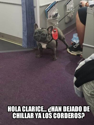 Meme_otros - Hola Clarice...