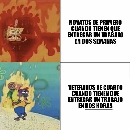 Meme_otros - Novatos vs vateranos