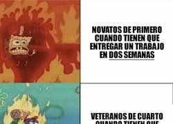 Enlace a Novatos vs vateranos