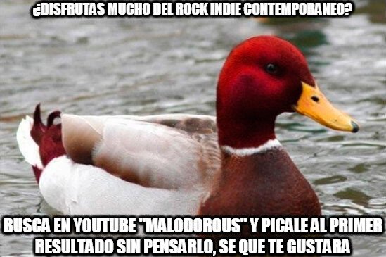broma,indie,musica,rock,youtube