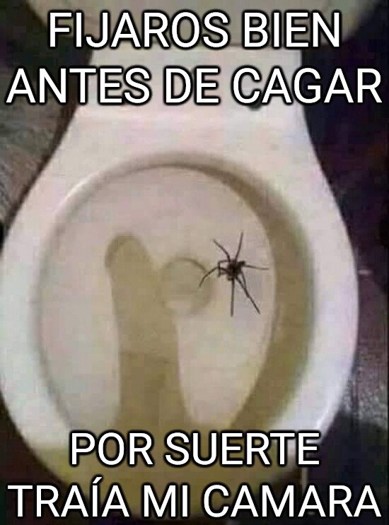 Meme_otros - Peligros en el baño