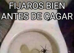Enlace a Peligros en el baño