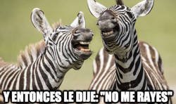 Enlace a Humor cebril