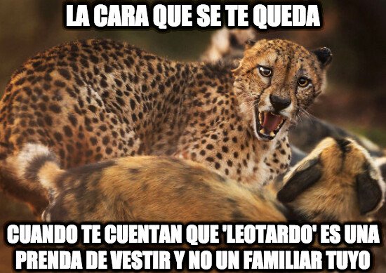 Meme_otros - ¿Qué me estás rugiendo?