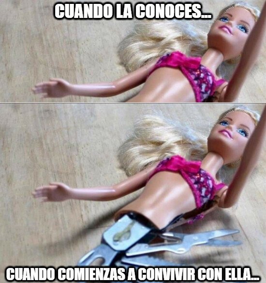 Meme_otros - Parecía al principio tan dulce, tranquila, que no rompía un plato...