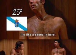 Enlace a Los gallegos no saben lo que es el calor