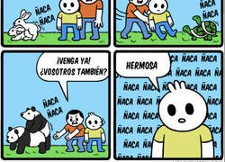 Enlace a La madre naturaleza en estado puro