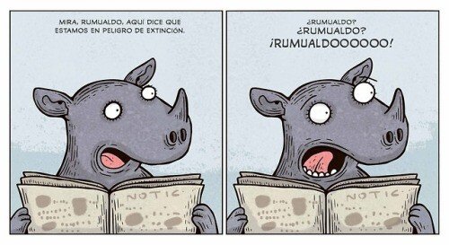 Meme_otros - Rumualdo no está, Rumualdo se fue