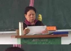 Enlace a La mente pensante detrás del profesor