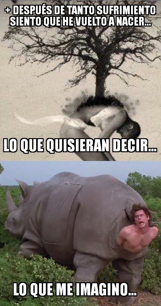 Meme_otros - La imaginación va por libre...