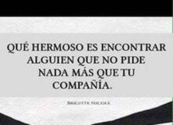 Enlace a Compañía