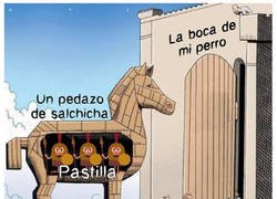 Enlace a Mi perro ni se lo huele