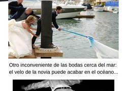 Enlace a Cuando las bodas no salen como uno espera