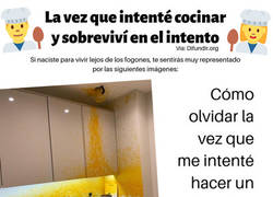 Enlace a La vez que intenté cocinar y casi muero en el intento
