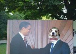 Enlace a Algo que sorprende mucho