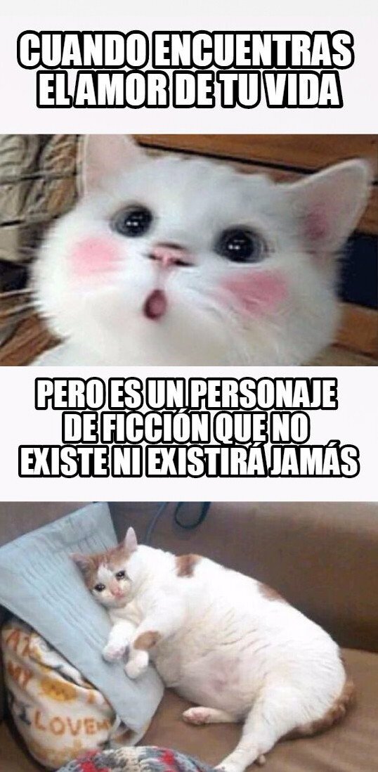 Adn_troll - No todo es color de rosas