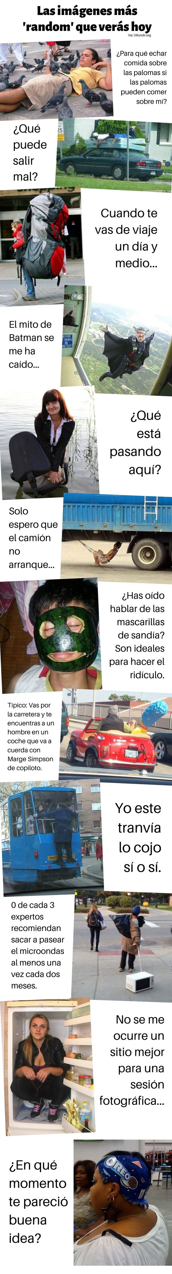 Otros - Las imágenes más 'random' que verás hoy