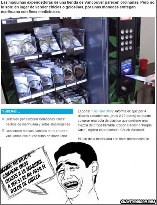 Are_you_serious - Muchos querrían tenerlas cerca