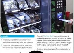 Enlace a Muchos querrían tenerlas cerca