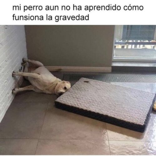 Meme_otros - Aún tiene mucho que aprender